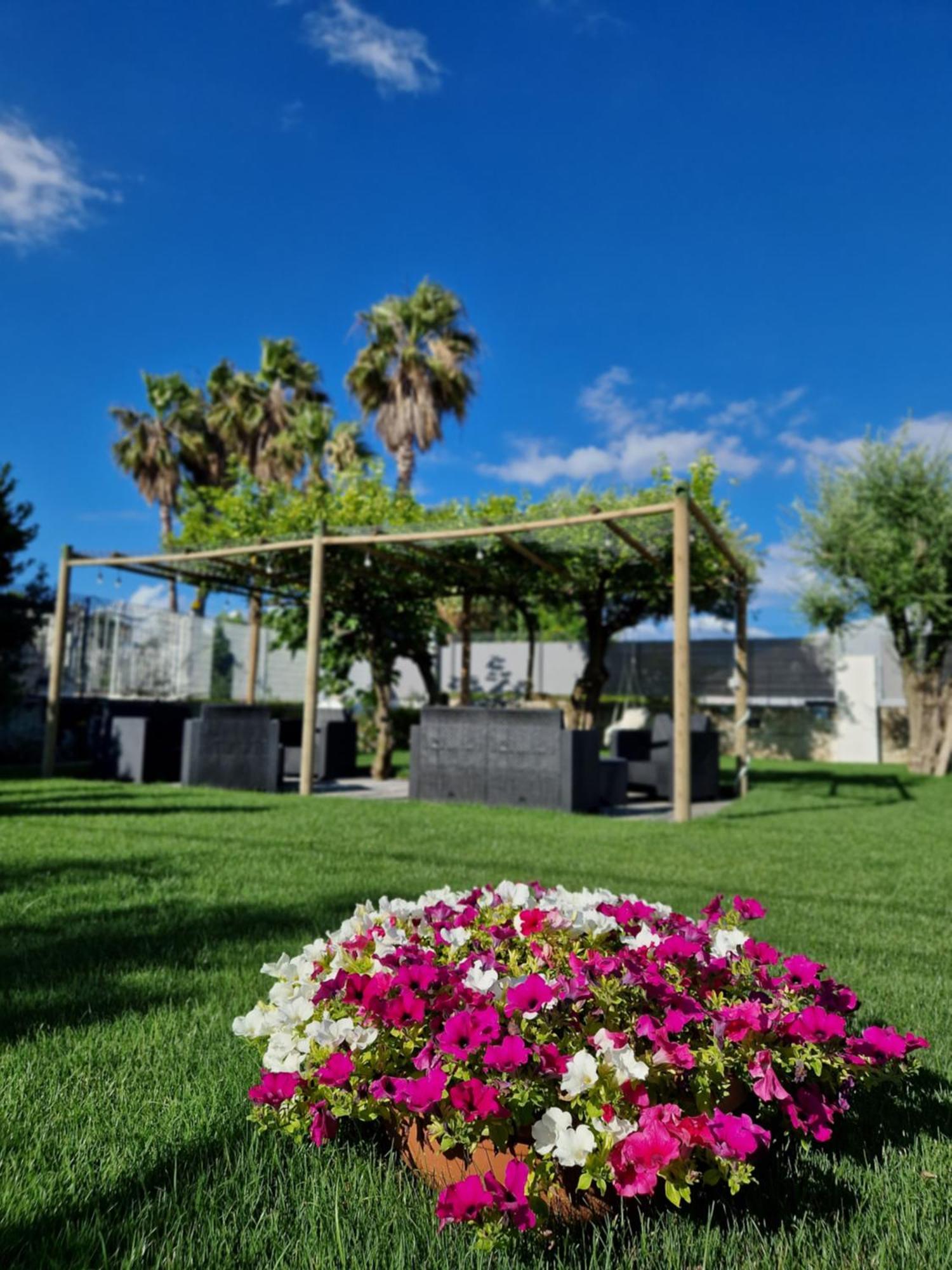Corte D'Aniello Scafati Buitenkant foto